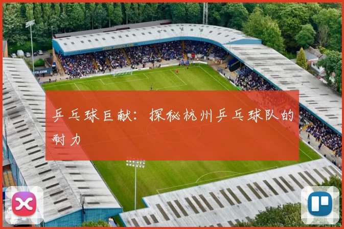 乒乓球巨献：探秘杭州乒乓球队的耐力