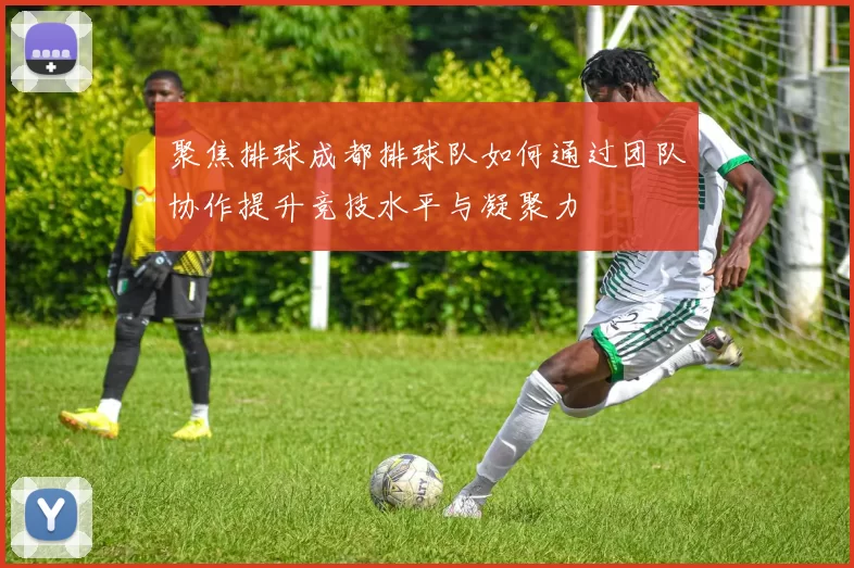 聚焦排球成都排球队如何通过团队协作提升竞技水平与凝聚力