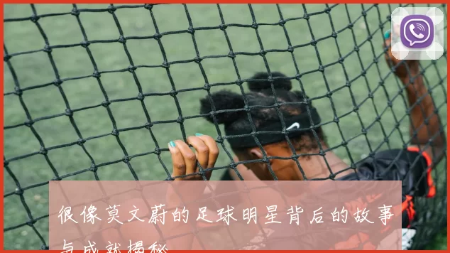 很像莫文蔚的足球明星背后的故事与成就揭秘