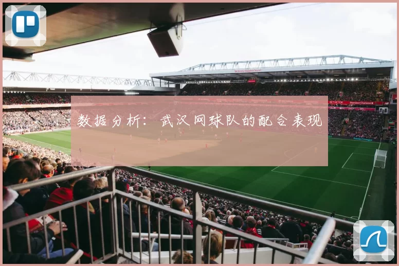 数据分析：武汉网球队的配合表现
