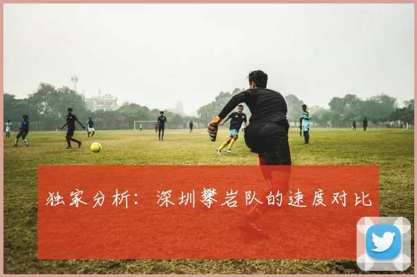 独家分析：深圳攀岩队的速度对比