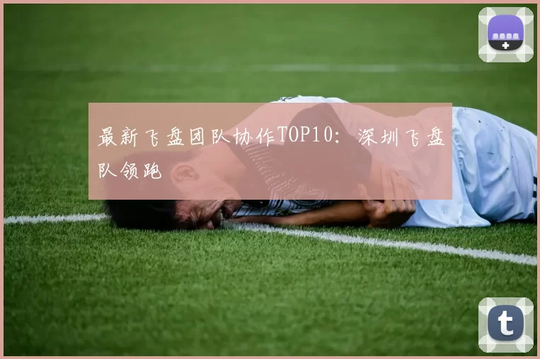 最新飞盘团队协作TOP10：深圳飞盘队领跑