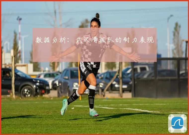 数据分析：武汉滑板队的耐力表现